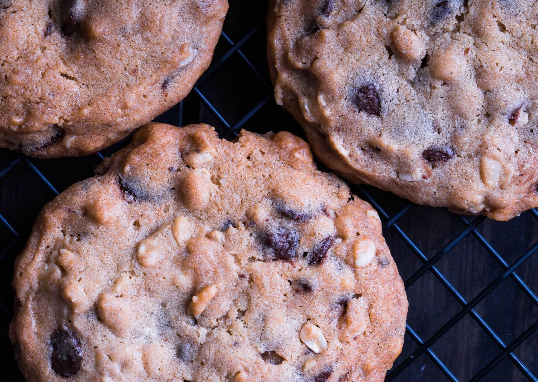 Galletas agridulces de queso y pasas de arándanos