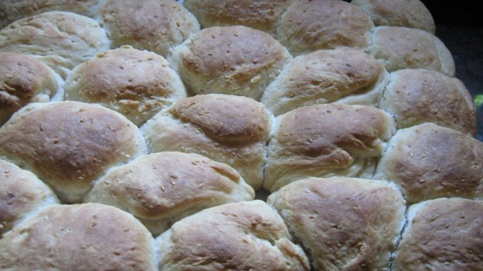 panes harina integral panecillos con haaaarna integral panes harina integral saliendo del horno.wwwwwwwwwwwwwwwwwwwwwwwwwwwwwwwwwwwwwwwwwwwwwwwwwwwwwwwwwwwwwwwwwwwwwwwwwwwwwwwwwwwwwwwwwwwwwwwwwwwwwwwwwwwwwwwwwwwwwwwwwwwwwwwwwwwwwwwwwwwwwwwwwwwwwwwwwwwwwwwwwwwwwwwwwwwwwwwwwwwwwwwwwwwwwwwwwwwwwwwwwwwwwwwwwwwwwwwwwwwwwwwwwwwwwwwwwwwwwwwwwwwwwwwwwwwwwwwwwwwwwwwwwwwwwwwwwwwwwwwwwwwwwwwwwwwwwwwwwwwwwwwwwwwwwwwwwwwwwwwwwwwwwwwwwwwwwwwwwwwwwwwwwwwwwwwwwwwwwwwwwwwwwwwwwwwwwwwwwwwwwwwwwwwwwwwwwwwwwwwwwwwwwwwwwwwwwwwwwwwwwwwwwwwwwwwwwwwwwwwwwwwwwwwwwwwwwwwwwwwwwwwwwwwwwwwwwwwwwwwwwwwwwwwwwwwwwwwwwwwwwwwwwwwwwwwwwwwwwwwwwwwwwwwwwwwwwwwwwwwwwwwwwwwwwwwwwwwwwwwwwwwwwwwwwwwwwwwwwwwwwwwwwwwwwwwwwwwwwwwwwwwwwwwwwwwwwwwwwwwwwwwwwwwwwwwwwwwwwwwwwwwwwwwwwwwwwwwwwwwwwwwwwwwwwwwwwwwwwwwwwwwwwwwwwwwwwwwwwwwwwwwwwwwwwwwwwwwwwwwwwwwwwwwwwwwwwwwwwwwwwwwwwwwwwwwwwwwwwwwwwwwwwwwwwwwwwwwwwwwwwwwwwwwwwwwwwwwwwwwwwwwwwwwwwwwwwwwwwwwwwwwwwwwwwwwwwwwwwwwwwwwwwwwwwwwwwwwwwwwwwwwwwwwwwwwwwwwwwwwwwwwwwwwwwwwwwwwwwwwwwwwwwwwwwwwwwwwwwwwwwwwwwwwwwwwwwwwwwwwwwwwwwwwwwwwwwwwwwwwwwwwwwwwwwwwwwwwwwwwwwwwwwwwwwwwwwwwwwwwwwwwwwwwwwwwwwwwwwwwwwwwwwwwwwwwwwwwwwwwwwwwwwwwwwwwwwwwwwwwwwwwwwwwwwwwwwwwwwwwwwwwwwwwwwwwwwwwwwwwwwwwwwwwwwwwwwwwwwwwwwwwwwwwwwwwwwwwwwwwwwwwwwwwwwwwwwwwwwwwwwwwwwwwwwwwwwwwwwwwwwwwwwwwwwwwwwwwwwwwwwwwwwwwwwwwwwwwwwwwwwwwwwwwwwwwwwwwwwwwwwwwwwwwwwwwwwwwwwwwwwwwwwwwwwwwwwwwwwwwwwwwwwwwwwwwwwwwwwwwwwwwwwwwwwwwwwwwwwwwwwwwwwwwwwwwwwwwwwwwwwwwwwwwwwwwwwwwwwwwwwwwwwwwwwwwwwwwwwwwwwwwwwwwwwwwwwwwwwwwwwwwwwwwwwwwwpanes cocidos harina integral